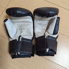 パンチンググローブの画像
