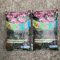 【決まりました】蓮華のたね(有効期限24年5月)