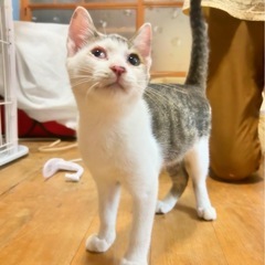 おとぼけ顔のかわいい子4ヶ月