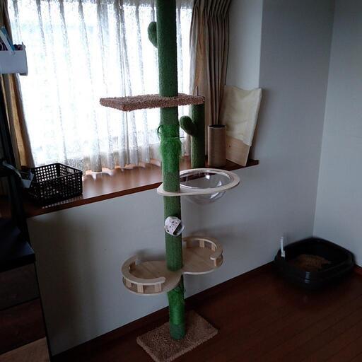 キャットタワー