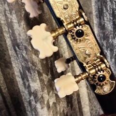 決定※アコスティックギターの画像