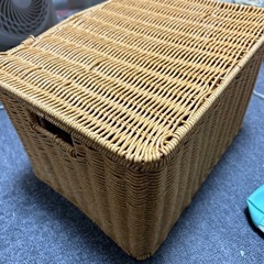 カゴ