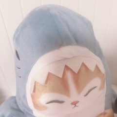 さめにゃん 3個セットの画像