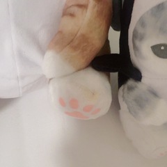 さめにゃん 3個セットの画像