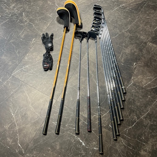 WORLD EAGLE WE-5Z メンズゴルフ フルセット　初心者　おすすめ