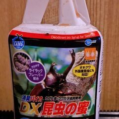 昆虫の蜜(残量8割程)期限2025年1月