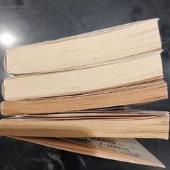 中々出ません！　山口組　山口組系柳川組　東興行（安藤組）　小説　（ヤクザ、暴力団、グレン隊）の画像