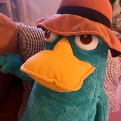 かものはしペリー　BIGぬいぐるみの画像