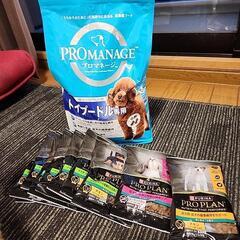 ドックフード