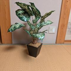 フェイク観葉植物