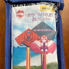 カイト 外遊びの画像