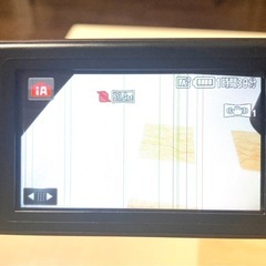 パナソニックハンディカムの画像