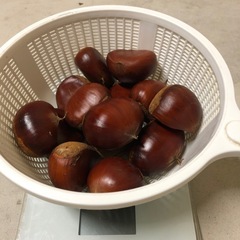 栗　１キロ　無農薬