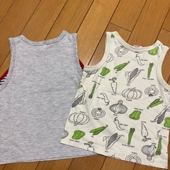 サイズ95の画像