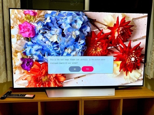 LG 55インチ OLED カラーテレビ OLED55C7P