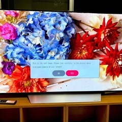 LG 55インチ OLED カラーテレビ OLED55C7P