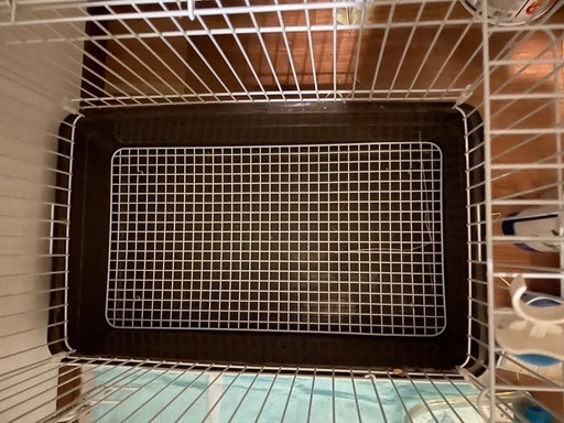 ペットケージ