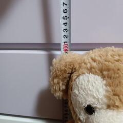 ダッフィーの画像