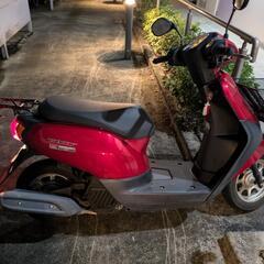 原付バイク早い者勝ちの画像
