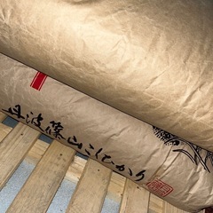 R6年産　丹波篠山コシヒカリ玄米（10キロ）