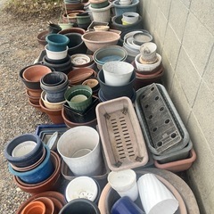 植木鉢やプランターなど多数ありますの画像