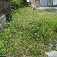 草取り、草刈り