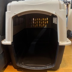 バリケン 大型犬 無料でお譲りしますの画像