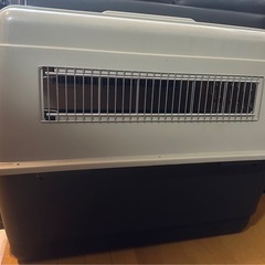 バリケン 大型犬 無料でお譲りします
