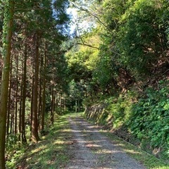 雑木　雑草　草刈り等をやります！