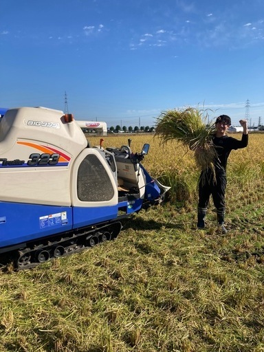 【2025年産】お米30kg ”ハツシモ”