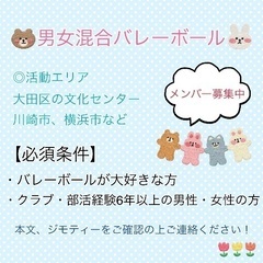 経験者募集中！　またバレーしたいなと思っている方、一緒にバレーボールしませんか？ - 大田区