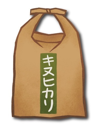 令和6年度米 新米 キヌヒカリ米　美味しい米　精米済み　白米27キロ　11900円