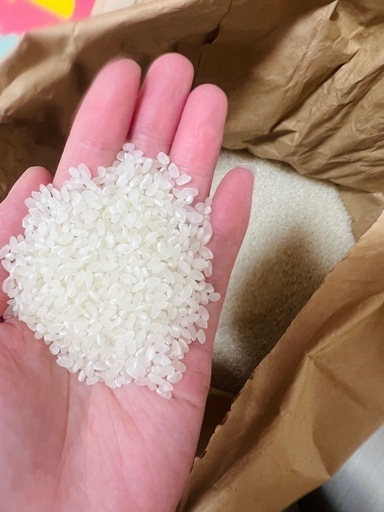 令和6年度米 新米 キヌヒカリ米　美味しい米　精米済み　白米27キロ　11900円