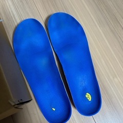 バッシュ　ダンクショット　23cmの画像