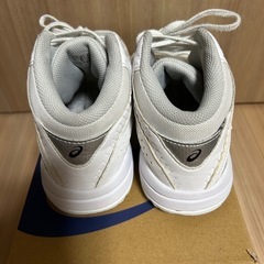 バッシュ　ダンクショット　23cmの画像