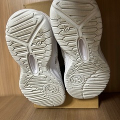 バッシュ　ダンクショット　23cmの画像