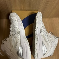 バッシュ　ダンクショット　23cmの画像