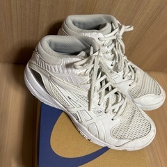 バッシュ　ダンクショット　23cm