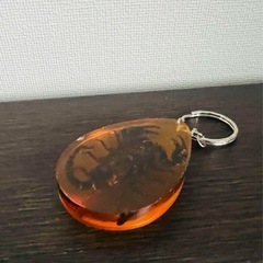 サソリ 琥珀 本物 ストラップの画像