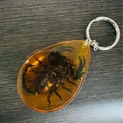サソリ 琥珀 本物 ストラップの画像