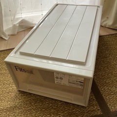 【衣装ケース】フィッツ　ロング
