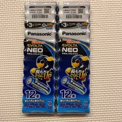 アルカリ乾電池　エボルタネオ　単3