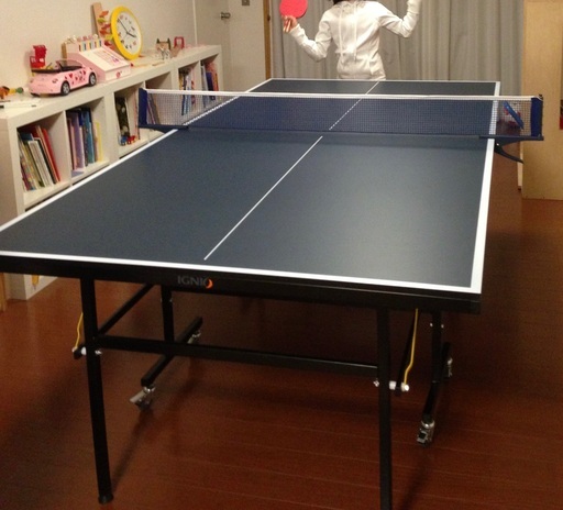 卓球台（国際規格）+防球ネット+球出しマシン（ロボポン）+球拾い用ネット