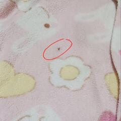 ベビー服 60サイズ 女の子 5店 まとめ売りの画像