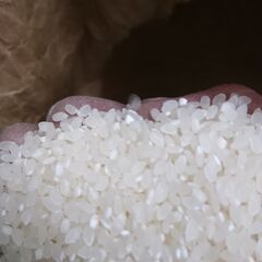 一旦終了しますこの価格でって本当？本当です　徹底的に経費削減しま...