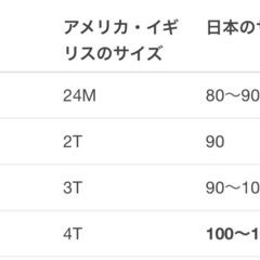 100サイズほどのドレスの画像