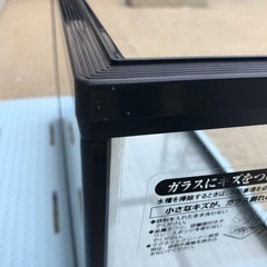 【美品】GEX 曲げガラス60cm水槽 ラピレス RV60 60×30×36cm（単体）④の画像
