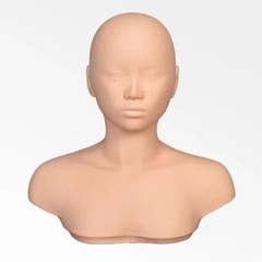 人体模型