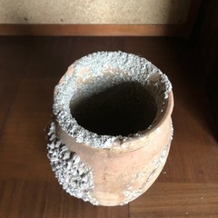 生活雑貨 家庭用品 ガーデニングの画像