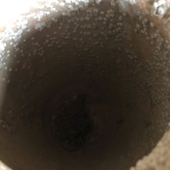 生活雑貨 家庭用品 ガーデニングの画像